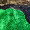 Top espalda descubierta verde